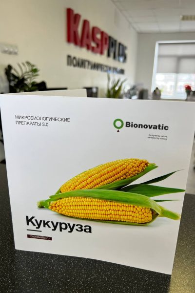 Буклеты лифлеты